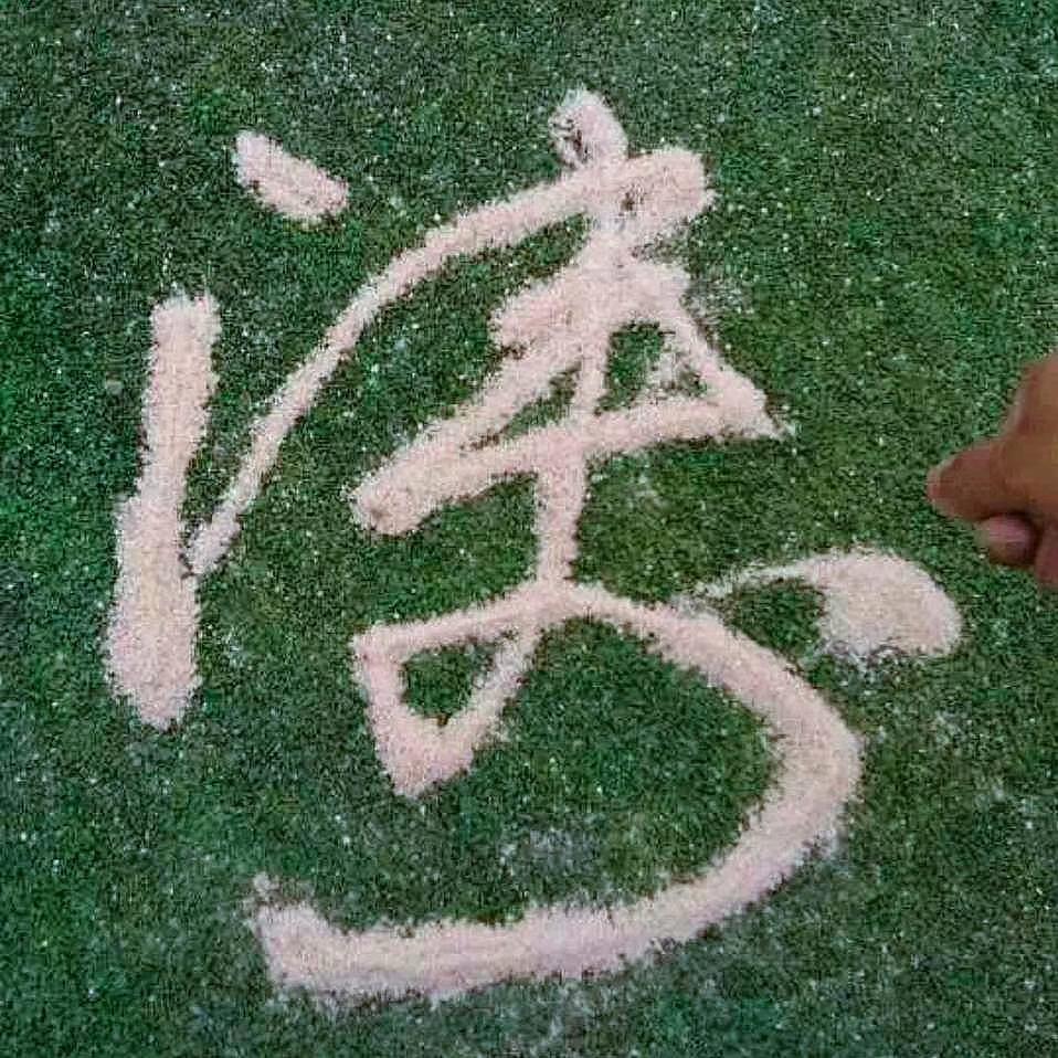 风轻云淡Tony ®