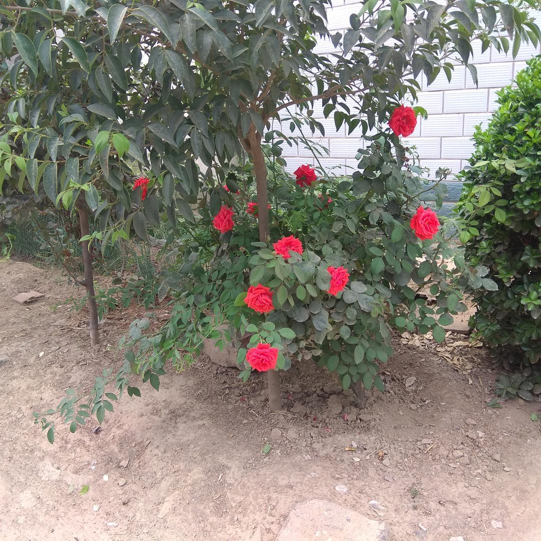 专业铺转（💗💗❤️）