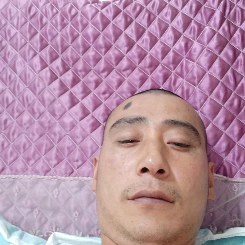 风中壹匹狼