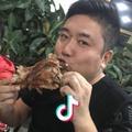冠哥宠物陪伴