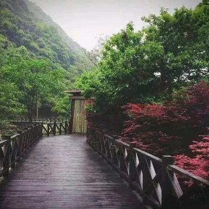 若爱，请深爱！