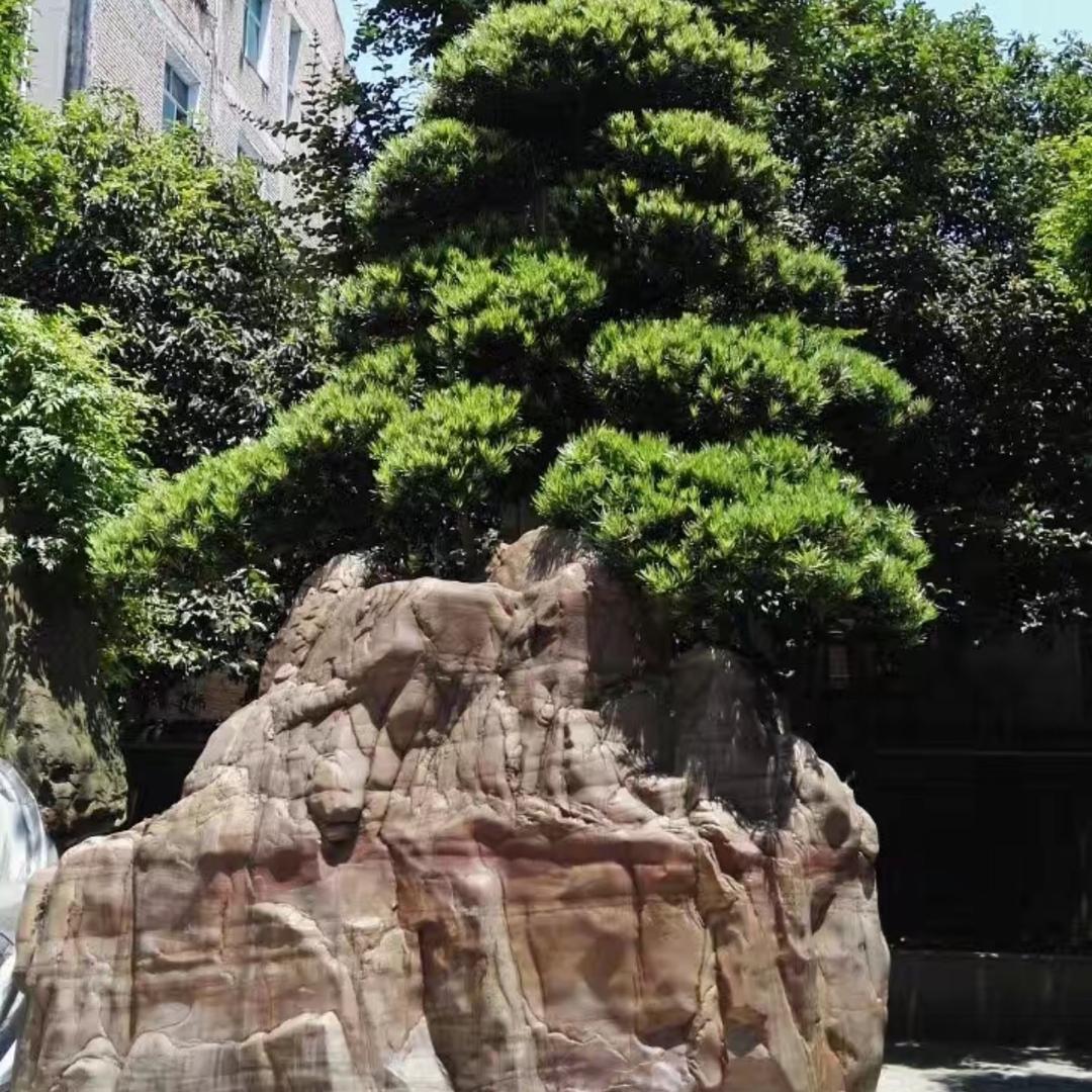H涛
