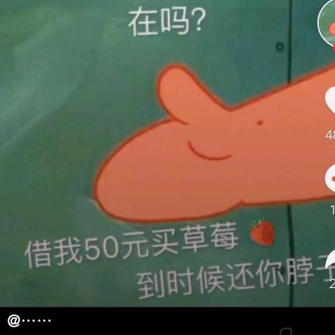 皮皮小龙虾