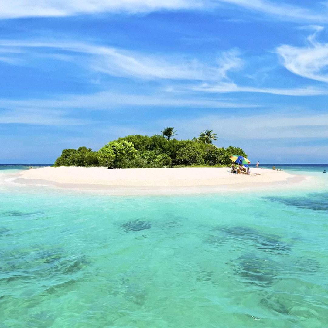 开心圆子（9210）