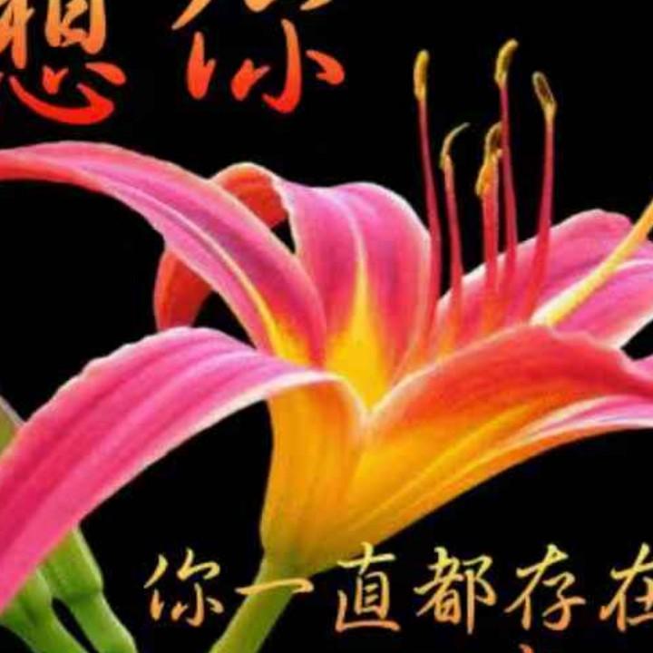 梦想