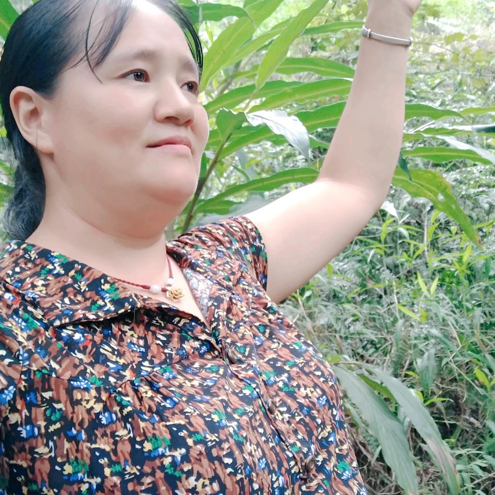 半首蝶恋花