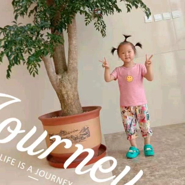 董得珍惜，为爱停刘