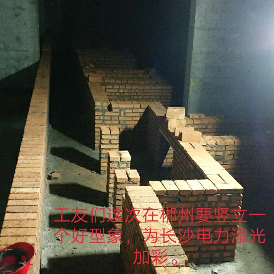 电力