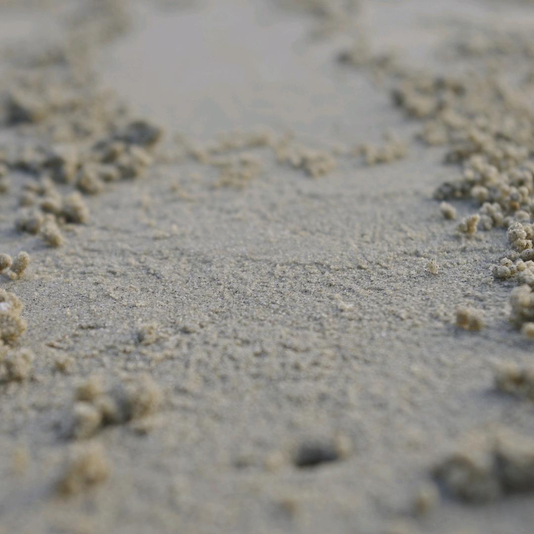 路人甲乙丙丁都是我