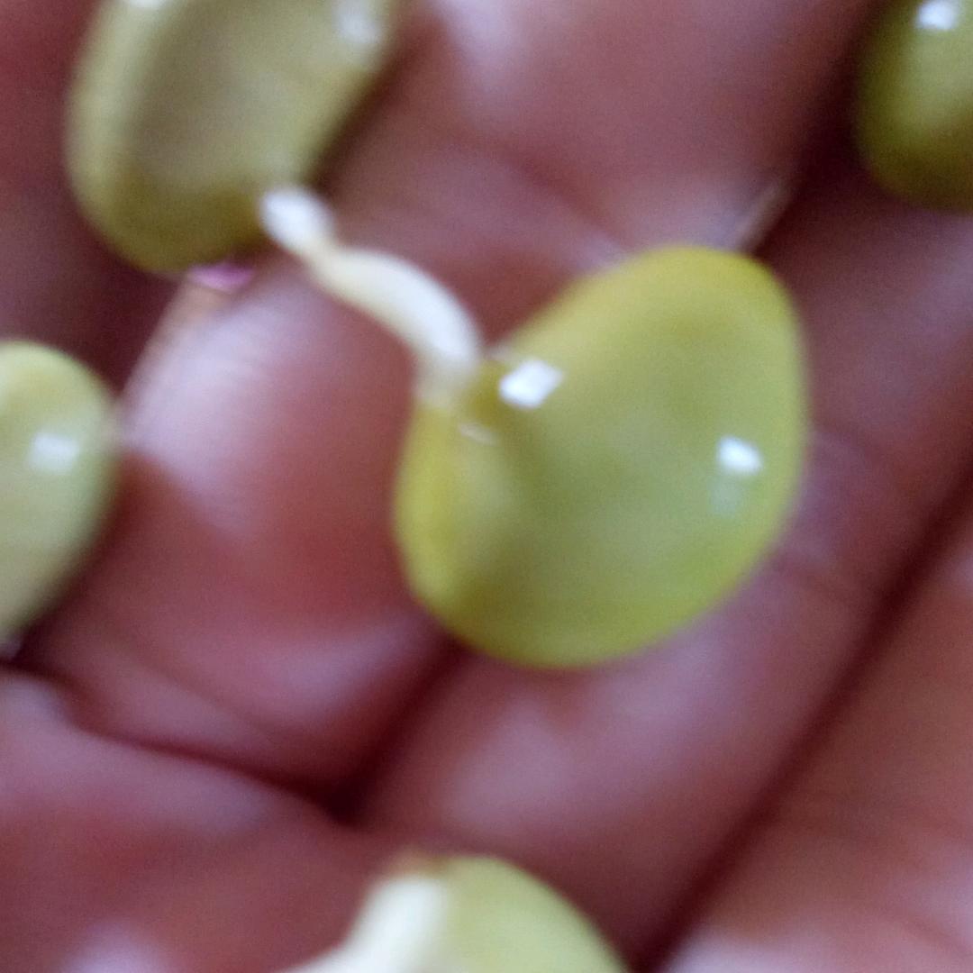太阳雨