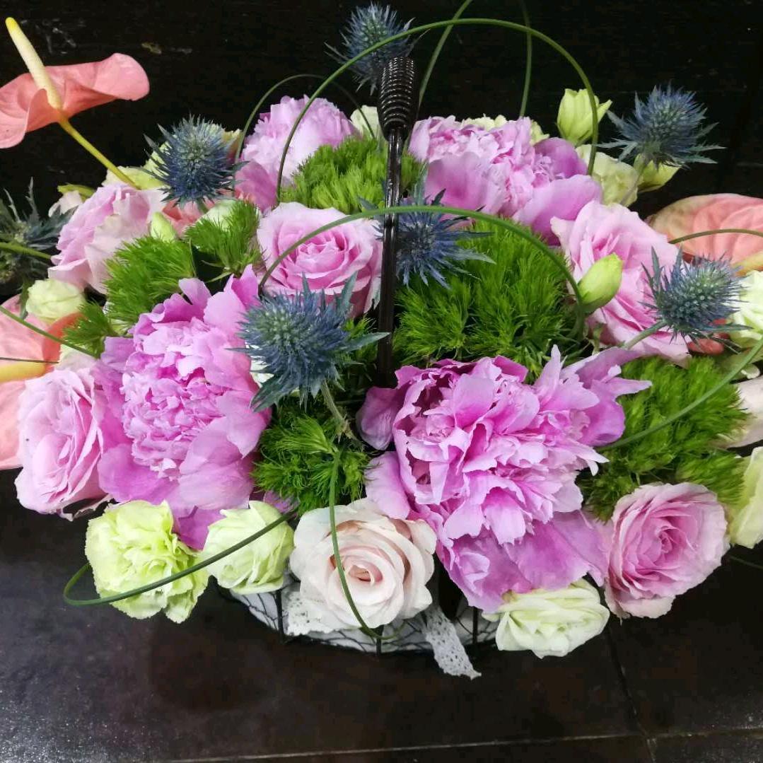 菏泽同宾牡丹芍药基地