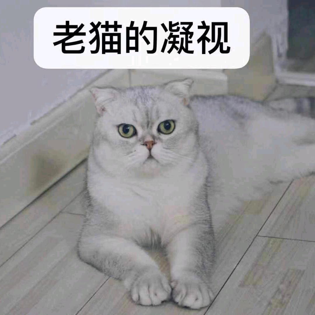 凉人