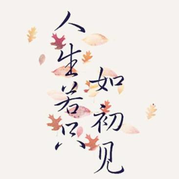 大陈岛新任小岛民