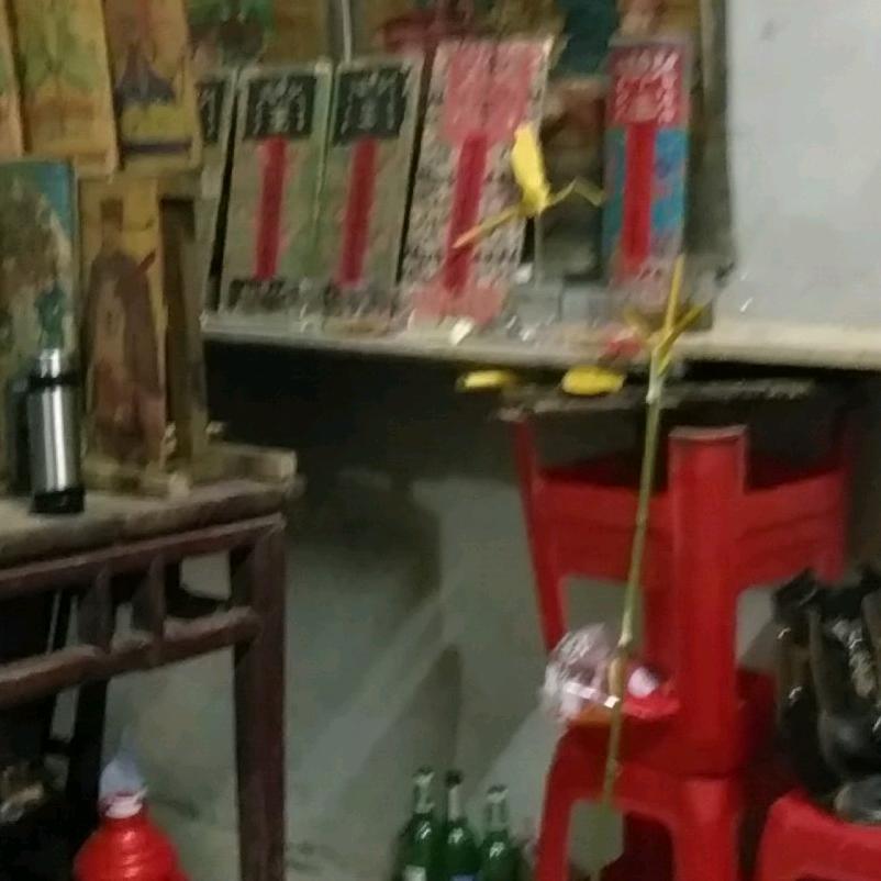 柯茂