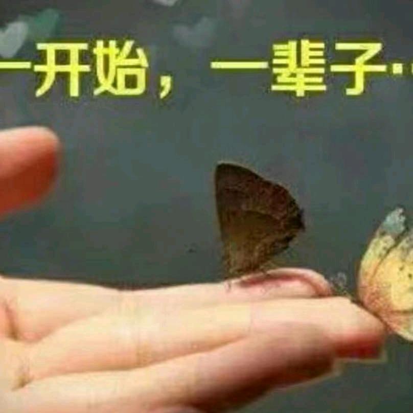 志在...必得