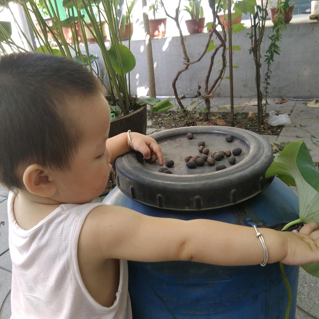 柴火堆
