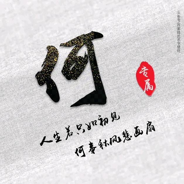 《金鑫装饰》装修建材一站式购齐