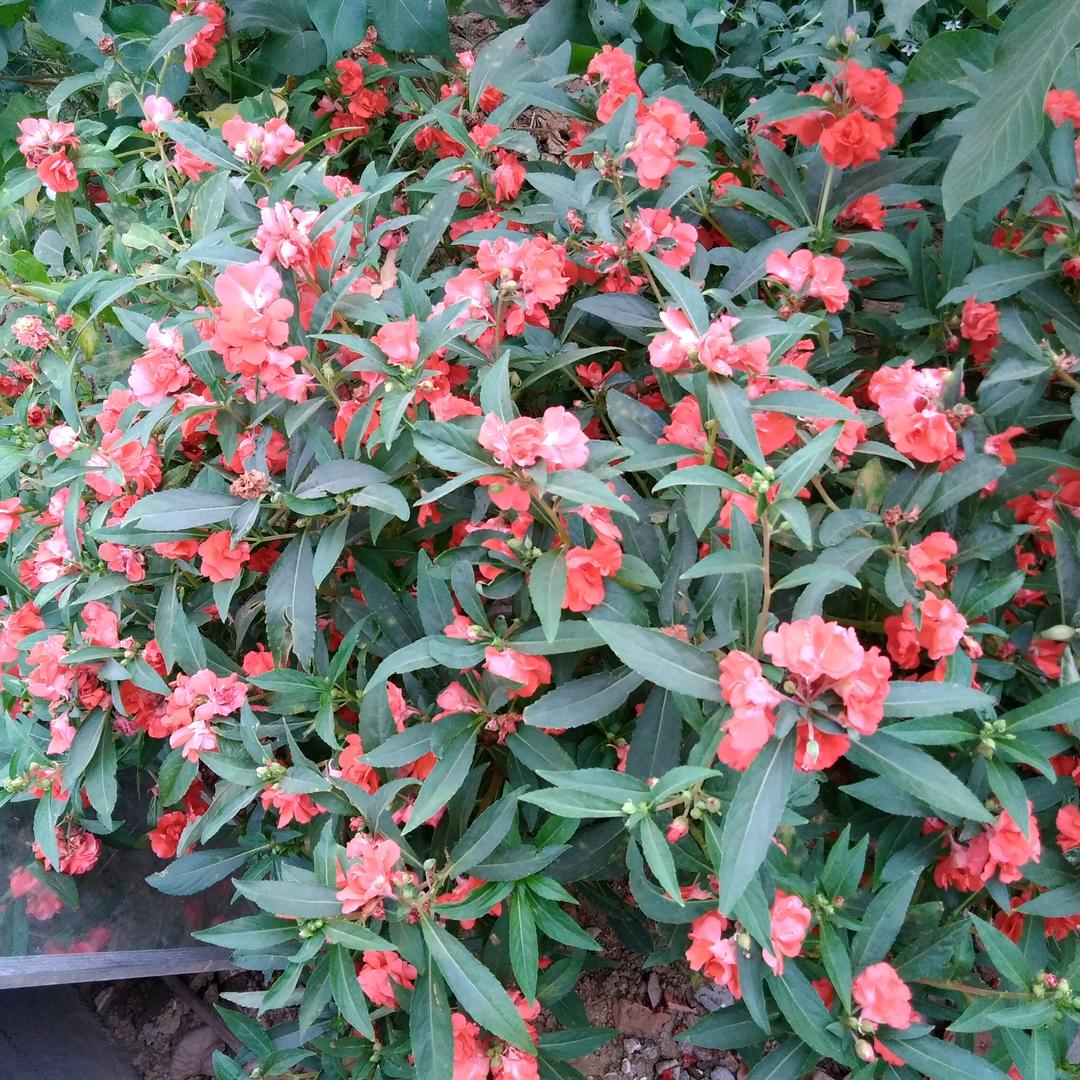 真心真意才是真哦👩