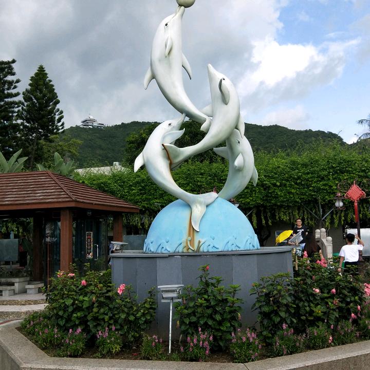 小戴