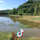 一闪一闪亮晶晶，满天都是小星星。✨