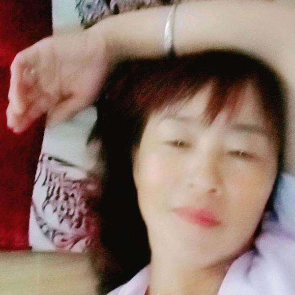 在菊