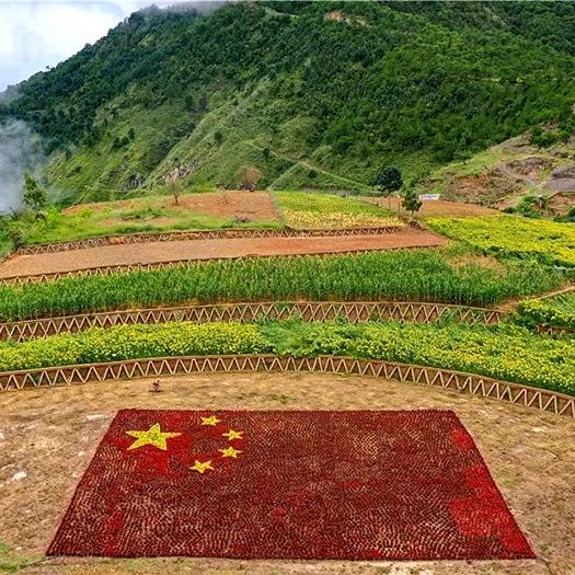 刚戈