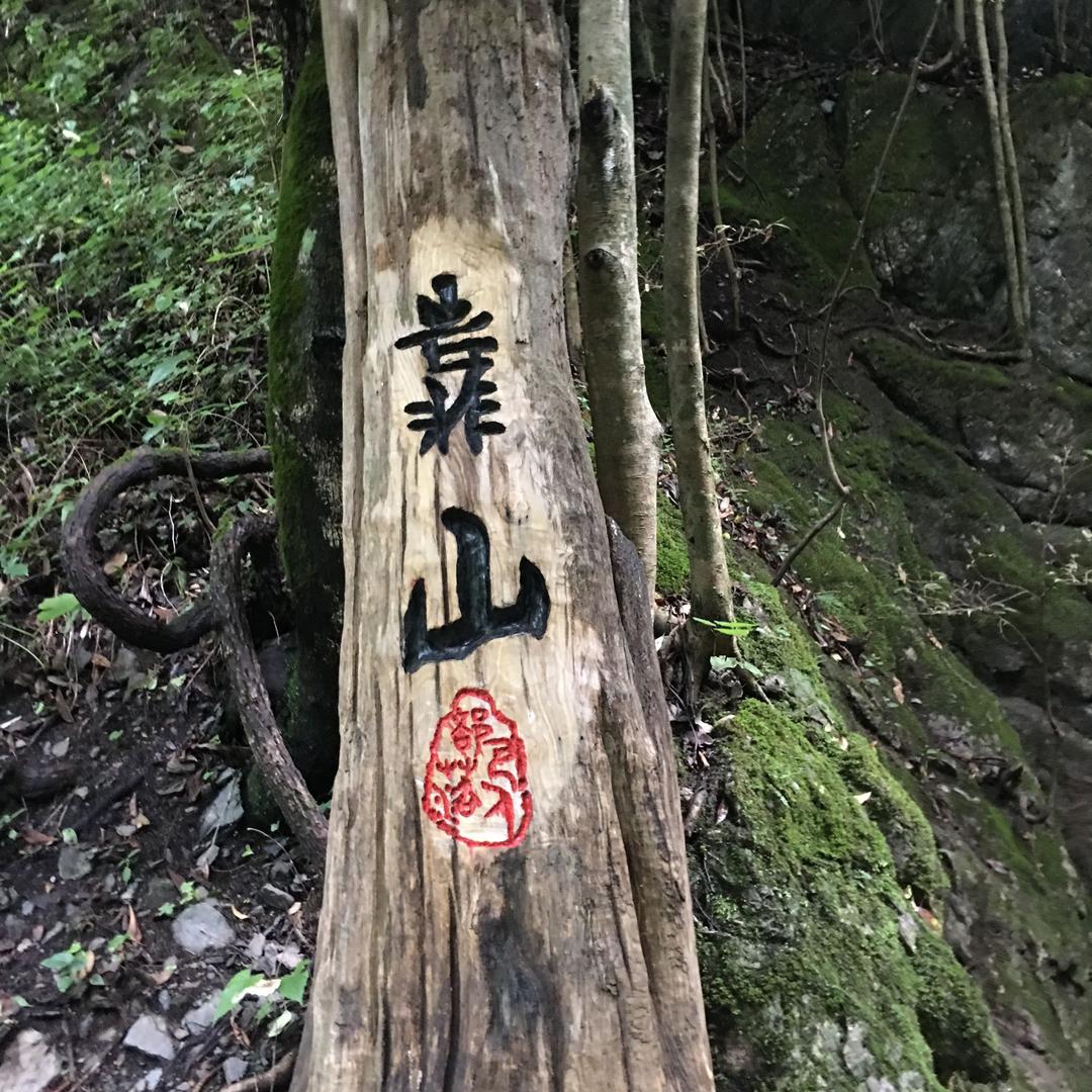 淡淡的淡