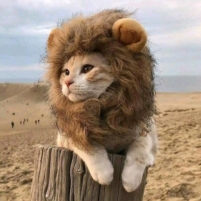 三个三个加两个