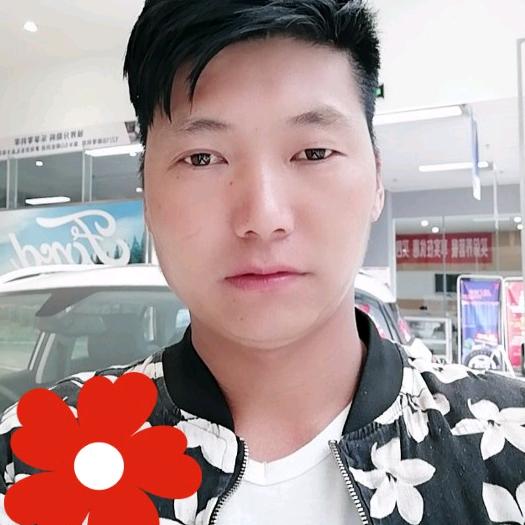 建哥，种橙子的