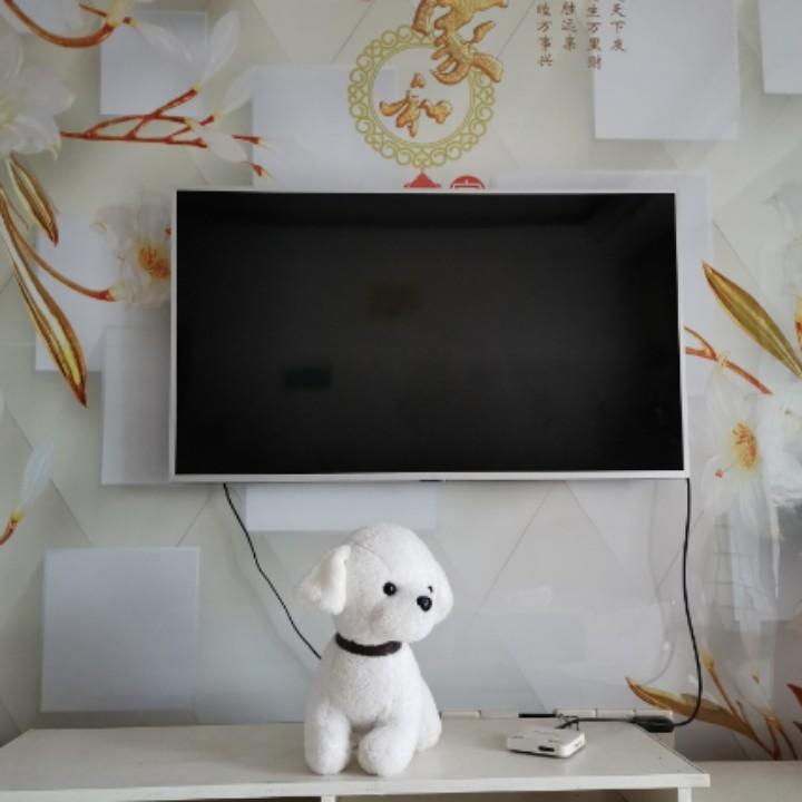 用户714570428482雨后彩虹