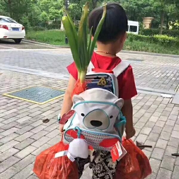 🌈大蒜少年🌈