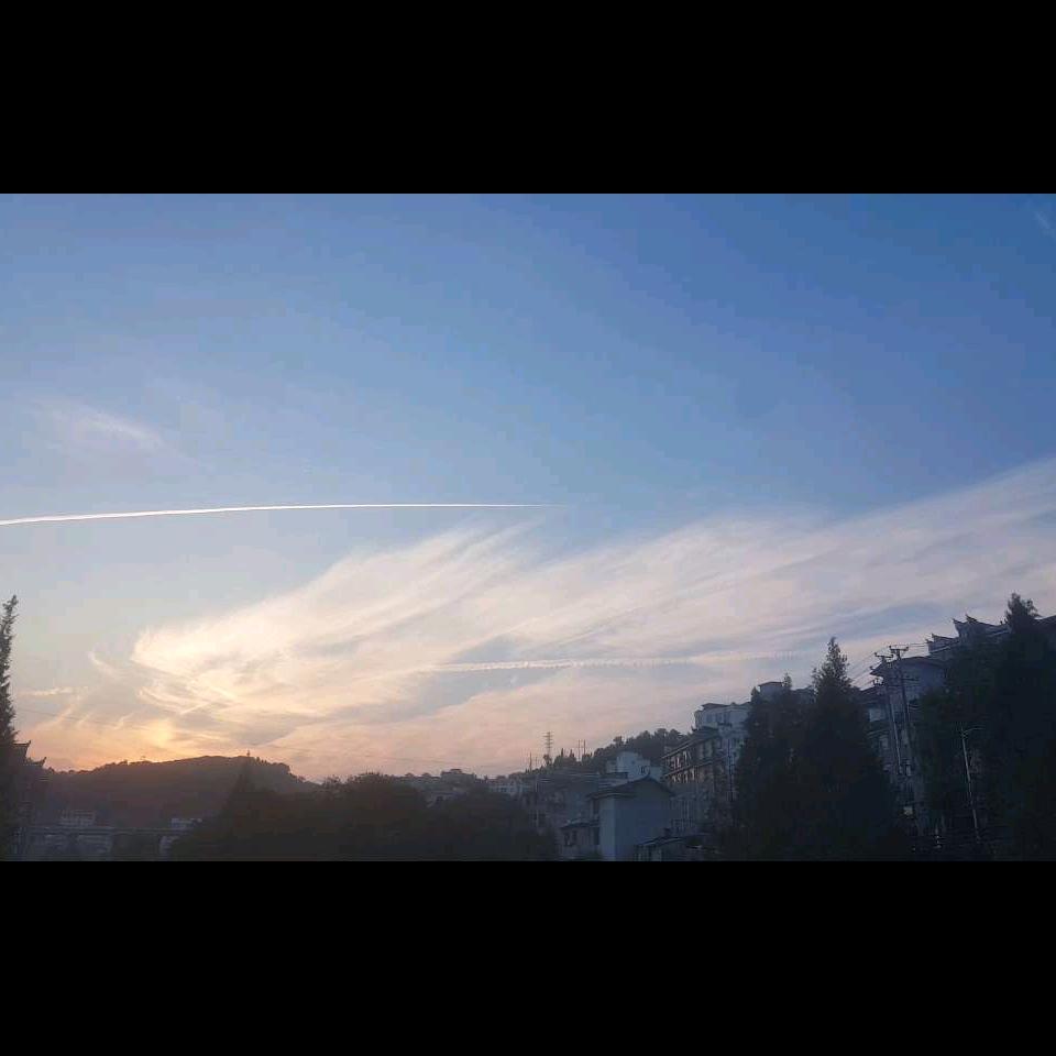 林真门*****多多