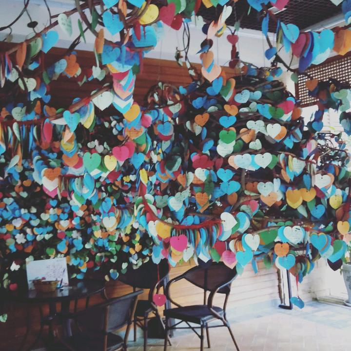 大同乡村士鸡园