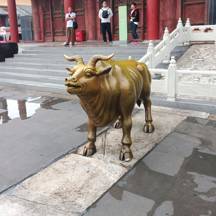 超越梦想