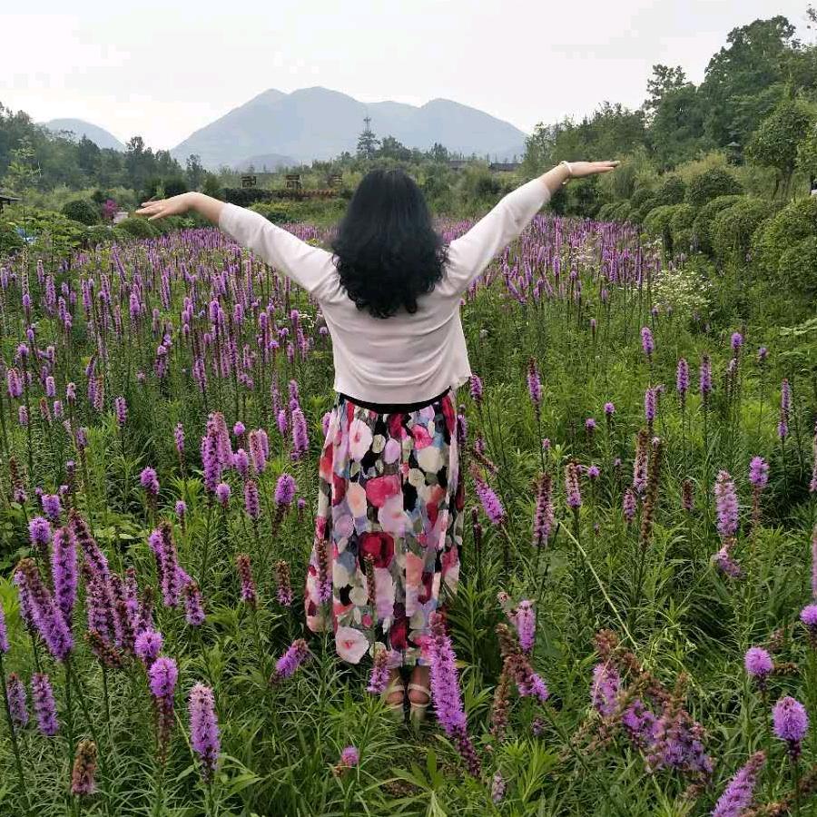 风雨