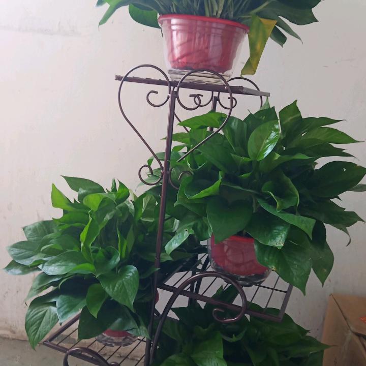 心灰意冷挥挥手