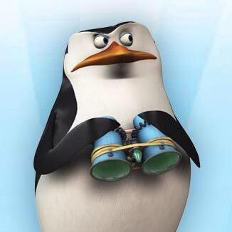 马达加斯加的企鹅