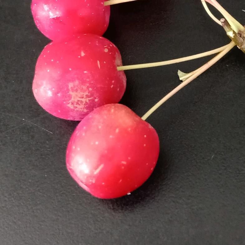 清欢🍏🍎