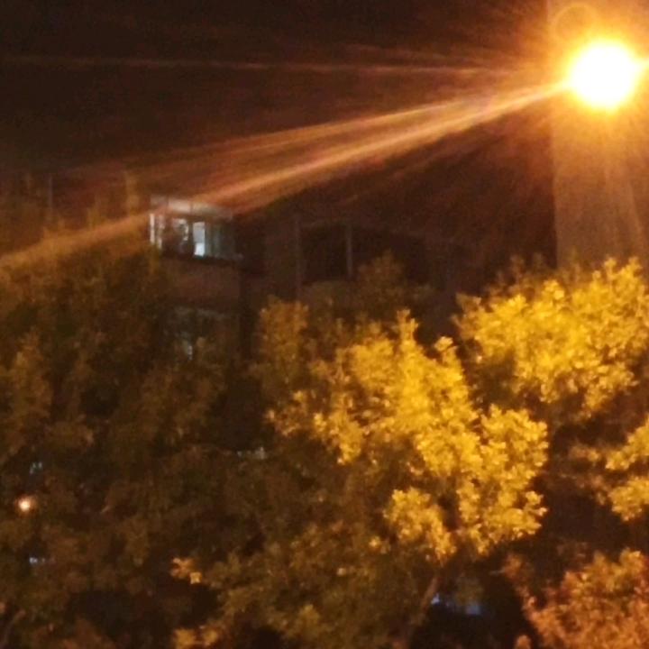 小晓蝶