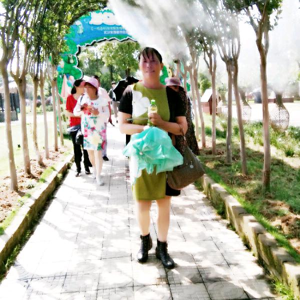荷韵悠悠