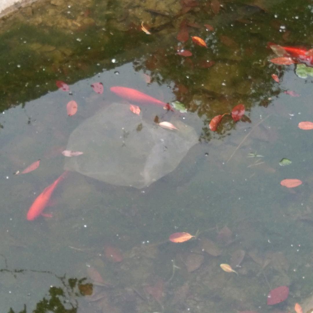 动力骑行生活馆