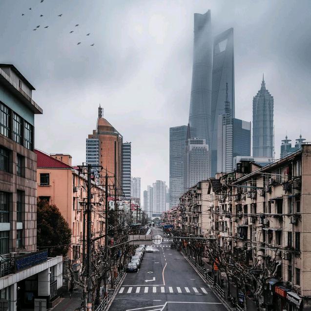 陈州香油
