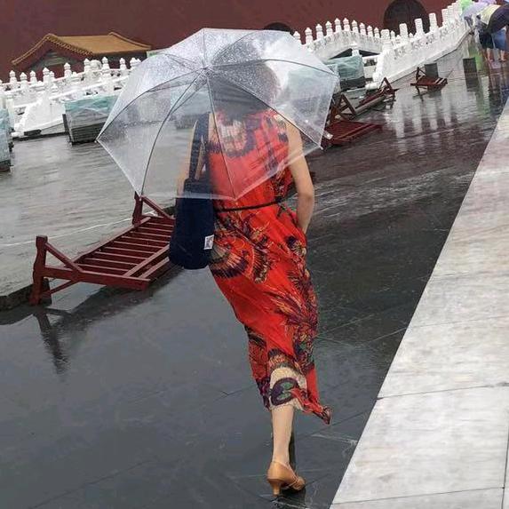 火凤凰（ 诗琴画意）