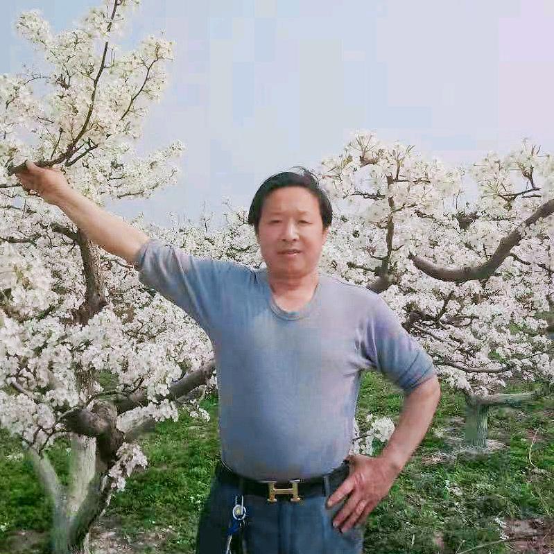 千里马