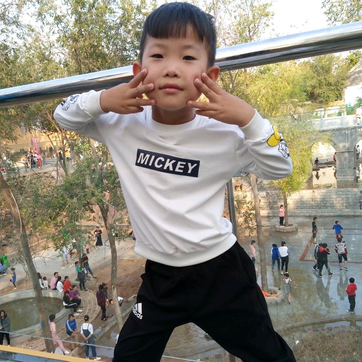 忘记(*^ω^*)伤痕