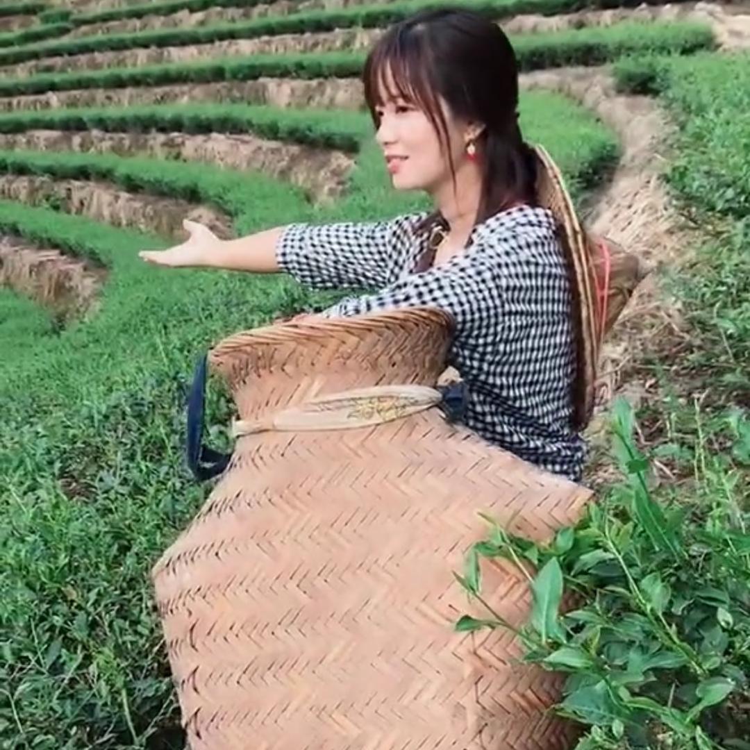 凤姝@/5O59568078