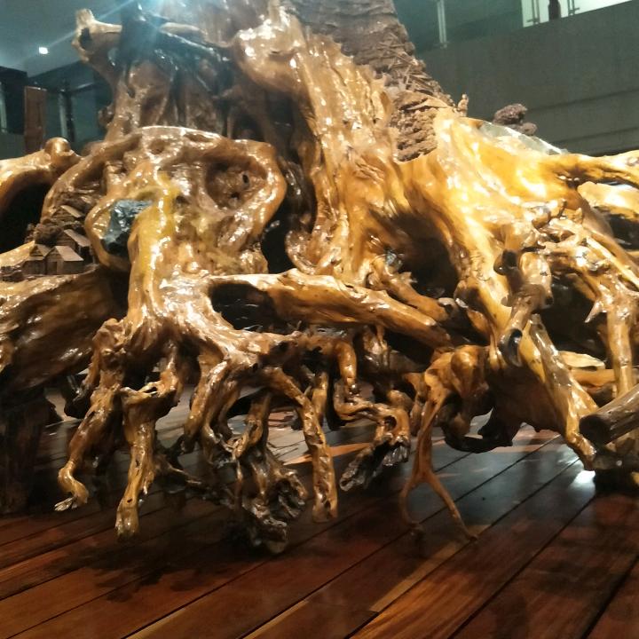 经营殡葬一条龙