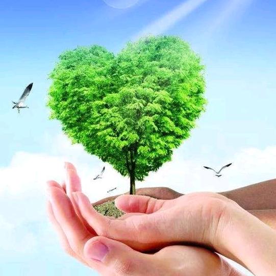 云南小木漆有要的联系我