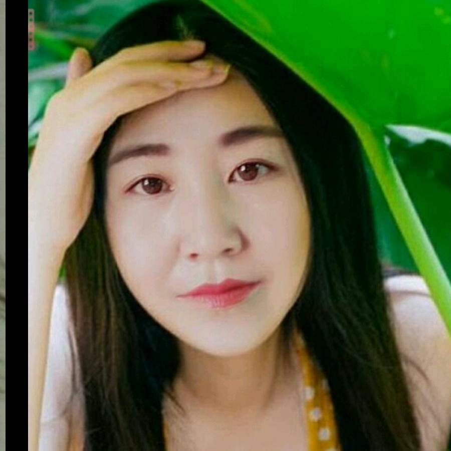 梦之遥