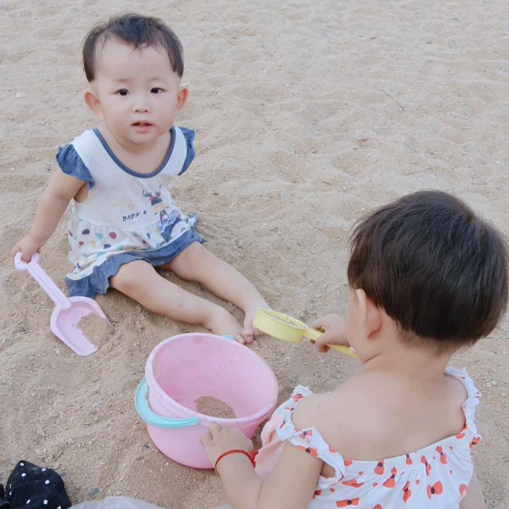 仙芝兰花（拒私聊）